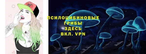 не бодяженный Белокуриха