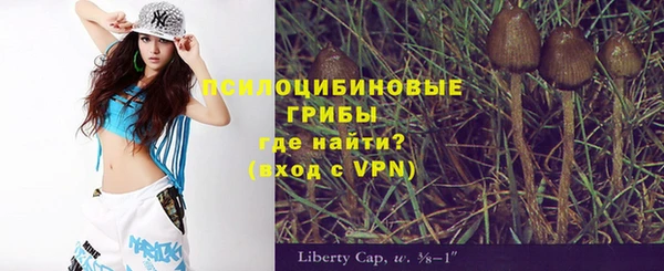 не бодяженный Белокуриха