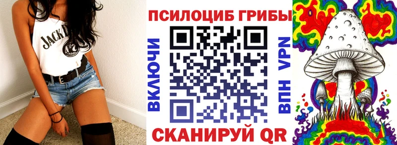 ссылка на мегу как зайти  Кирс  Галлюциногенные грибы Psilocybine cubensis 